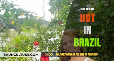 Is Brazil Always Hot? Exploring Its Climate Beyond the Stereotype