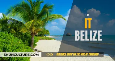 The Mystery of "Is It Belize": Unraveling the Intrigue of a Tropical Paradise