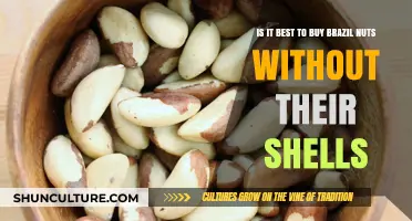 Shell-Free Brazil Nuts: Convenience vs. Freshness – Which is Better?