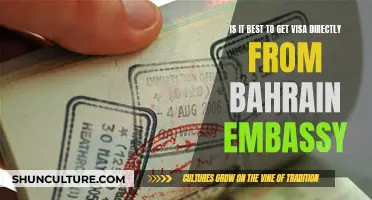 Visa Options: Bahrain Embassy or Consular Services?