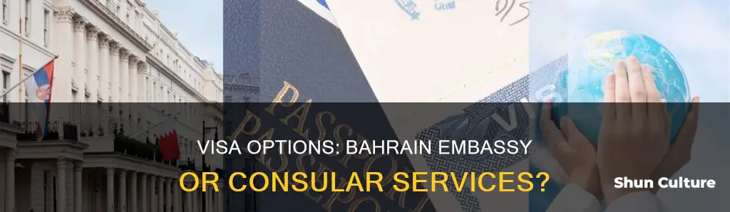 is it best to get visa directly from bahrain embassy