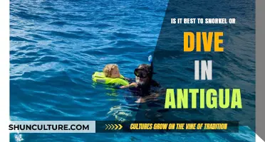 Snorkeling vs. Diving in Antigua: Which Underwater Adventure is Best?