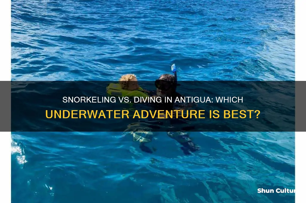 is it best to snorkel or dive in antigua