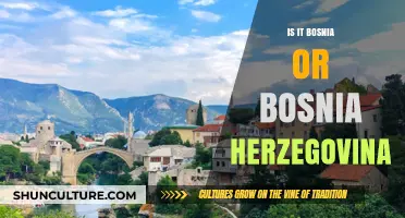 Bosnia or Bosnia and Herzegovina: Understanding the Country's Official Name