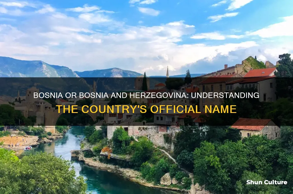 is it bosnia or bosnia herzegovina