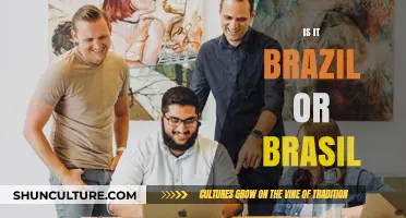 Brazil or Brasil: Unraveling the Correct Spelling and Its Origins