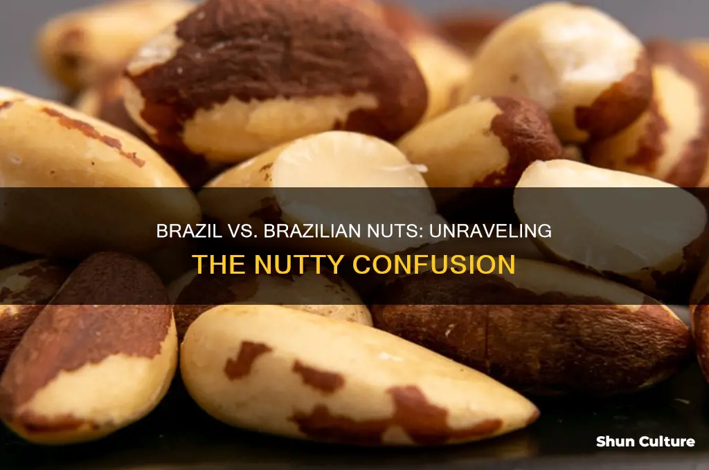 is it brazil or brazilian nuts