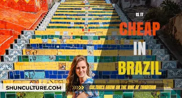 Is Brazil Affordable? Exploring Costs of Living and Travel Expenses