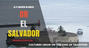 Brazil vs. El Salvador: Comparing Living Costs for Budget Travelers