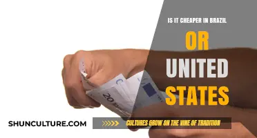 Brazil vs. USA: Which Country Offers More Affordable Living Costs?