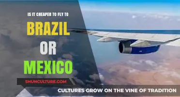 Brazil vs. Mexico: Which Destination Offers Cheaper Flights?