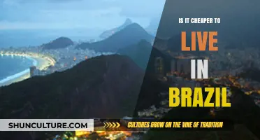 Is Living in Brazil More Affordable? Cost of Life Analysis