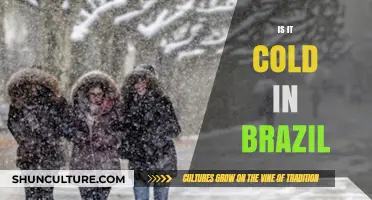 Is Brazil Cold? Exploring the Country's Climate and Temperature Variations