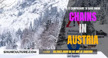 Snow Chains in Austria: Are They Mandatory?