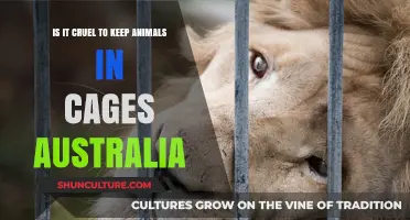 Caging Animals: Is It Ethical?