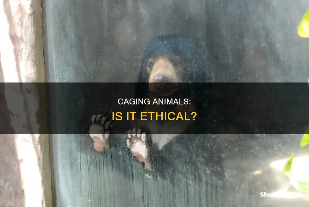 is it cruel to keep animals in cages australia