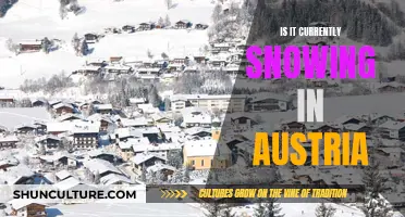 Winter Wonder: Snowfall in Austria Now?