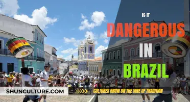 Exploring Brazil's Safety: Myths, Realities, and Travel Tips for Visitors