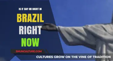 Current Time in Brazil: Day or Night Right Now?