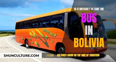 Navigating Bolivia's Bus System: Easy or Challenging?