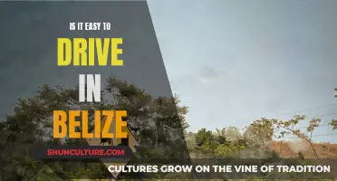 Belize Behind the Wheel: Navigating the Roads Less Traveled