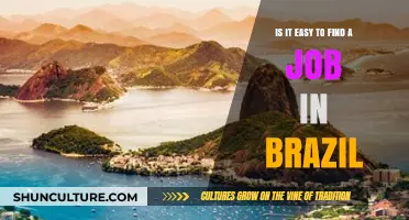 Navigating Brazil's Job Market: Challenges and Opportunities for Employment