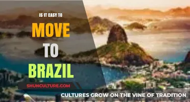 Moving to Brazil: Simplifying the Process for a Smooth Transition