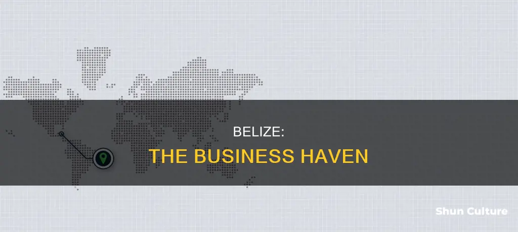 is it easy to start a business in belize