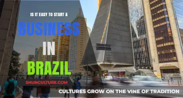 Starting a Business in Brazil: Challenges, Opportunities, and Key Insights
