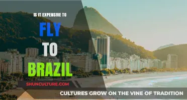 Flying to Brazil: Cost Breakdown and Budget-Friendly Tips