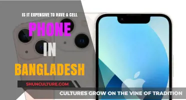 Affordable or Costly? Exploring Cell Phone Expenses in Bangladesh