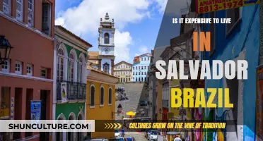 Living in Salvador, Brazil: Cost of Life Analysis and Budget Tips