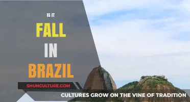 Is It Fall in Brazil? Exploring Seasons in the Tropics