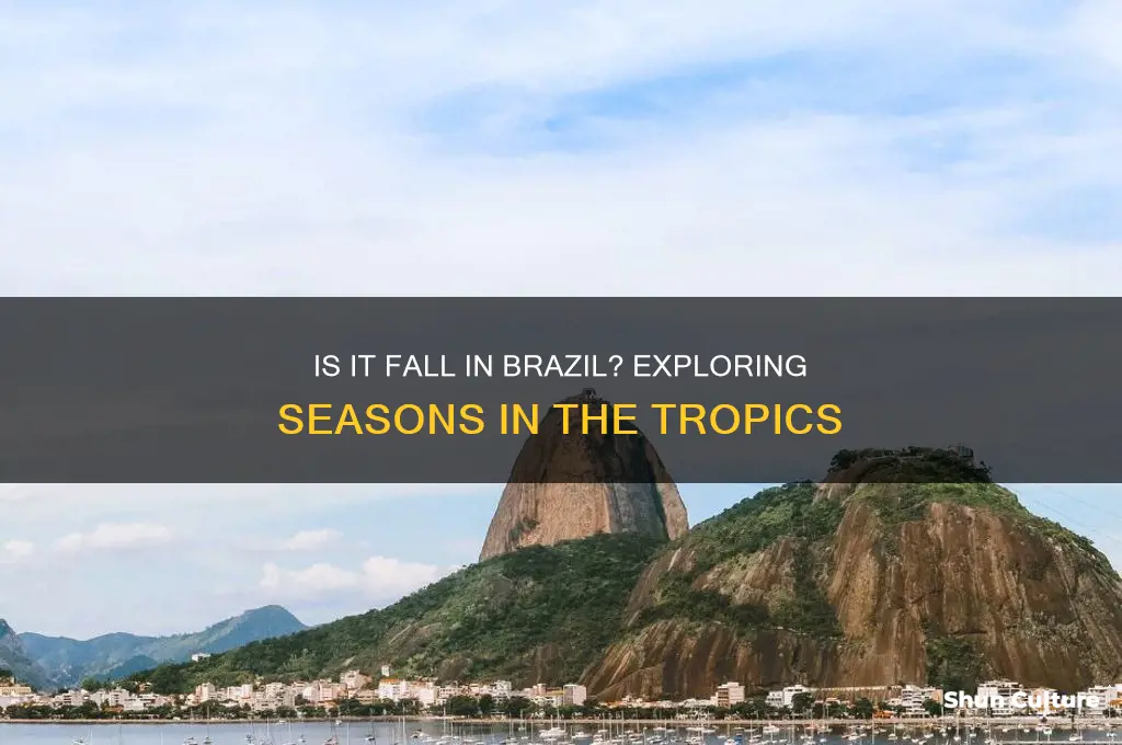 is it fall in brazil