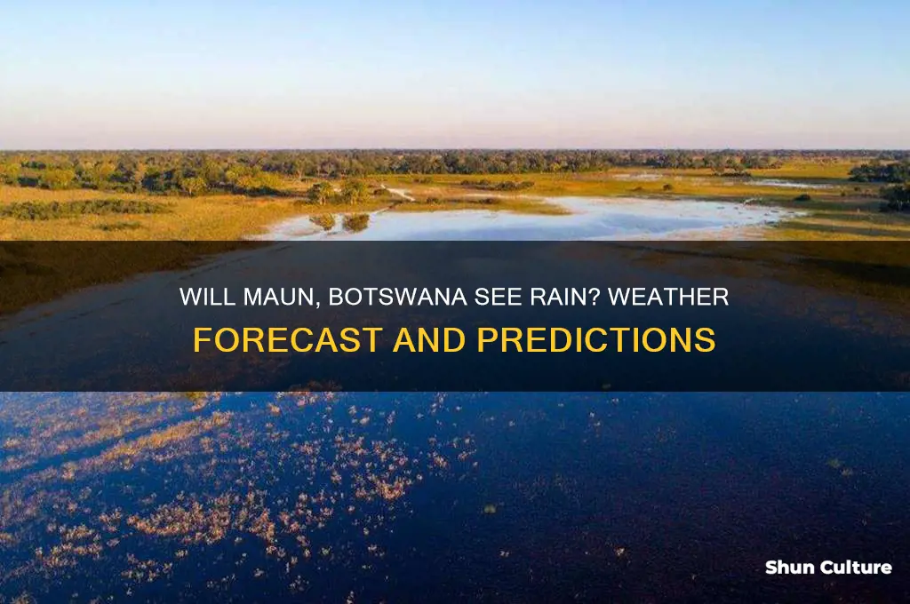 is it going to rain in maun botswana