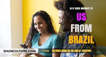 Should Brazilians Migrate to the US? Pros, Cons, and Realities