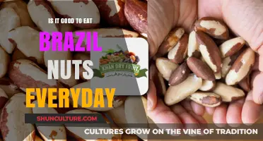 Daily Brazil Nuts: Health Benefits or Hidden Risks?