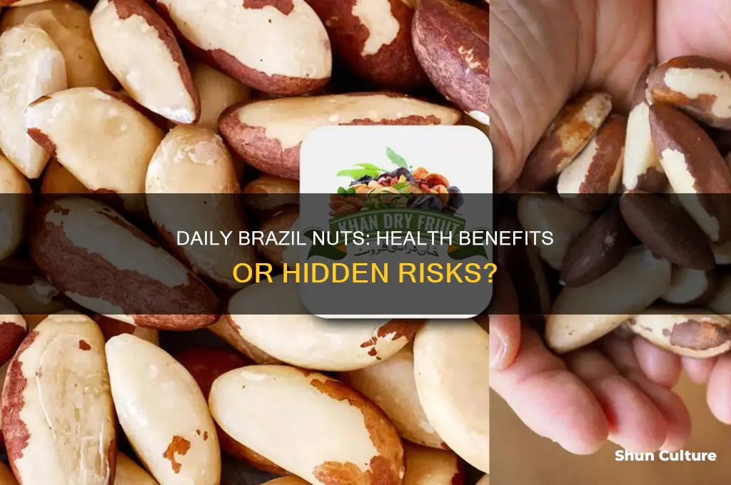 is it good to eat brazil nuts everyday