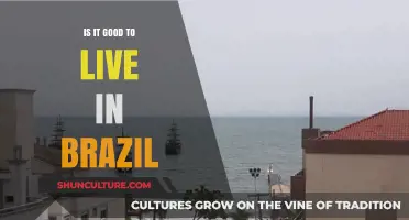 Living in Brazil: Pros, Cons, and Cultural Insights for Expats