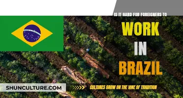 Working in Brazil: Challenges and Opportunities for Foreign Professionals