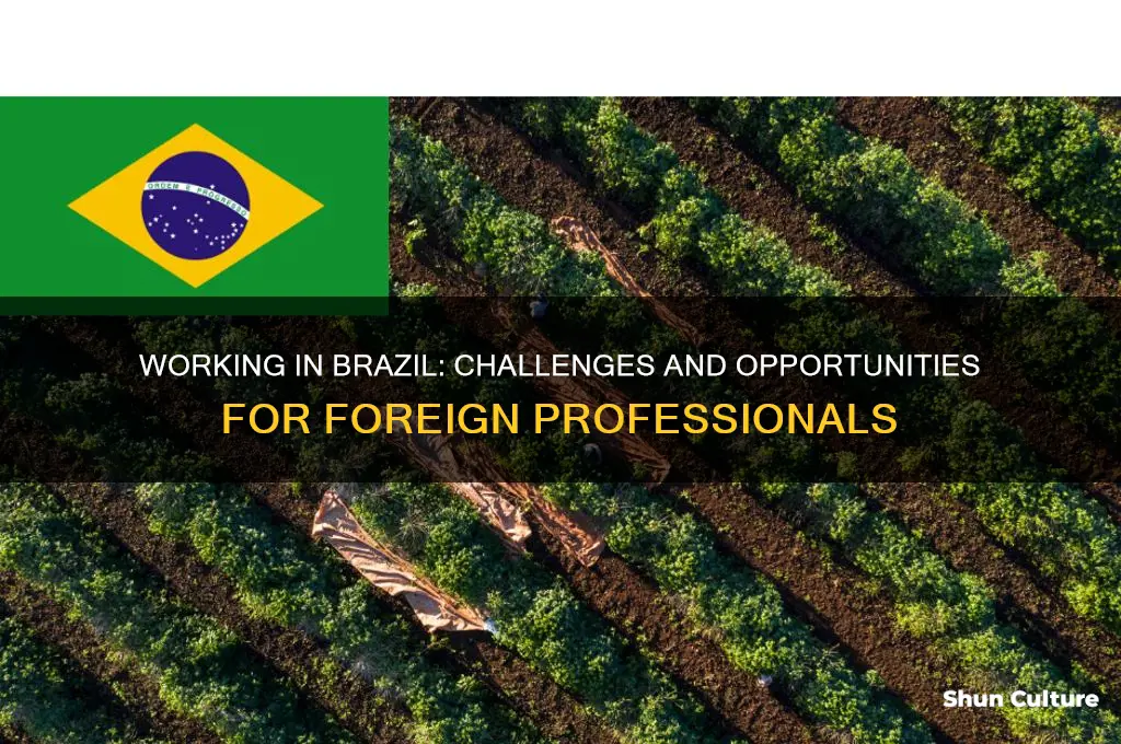 is it hard for foreigners to work in brazil