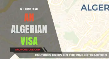 Navigating the Algerian Visa Process: Challenges and Tips for Travelers