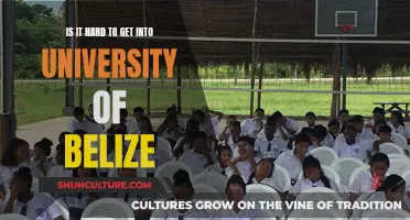 University of Belize Admissions: Navigating the Challenges