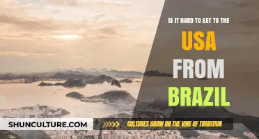 Traveling to the USA from Brazil: Challenges and Tips for a Smooth Journey