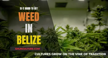 Weed in Belize: Paradise Lost?