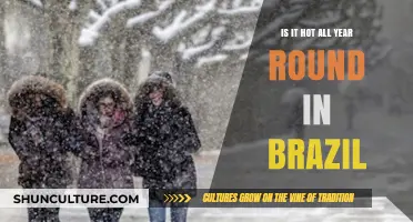 Brazil's Climate Unveiled: Is It Hot All Year Round?