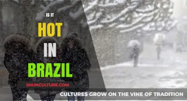 Is It Hot in Brazil? Exploring the Country's Climate and Temperatures