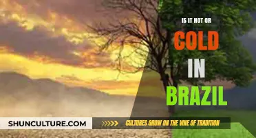 Brazil's Climate Unveiled: Hot or Cold? Exploring Regional Temperatures