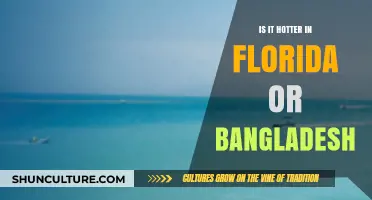 Florida vs. Bangladesh: Which Destination Experiences Higher Temperatures?
