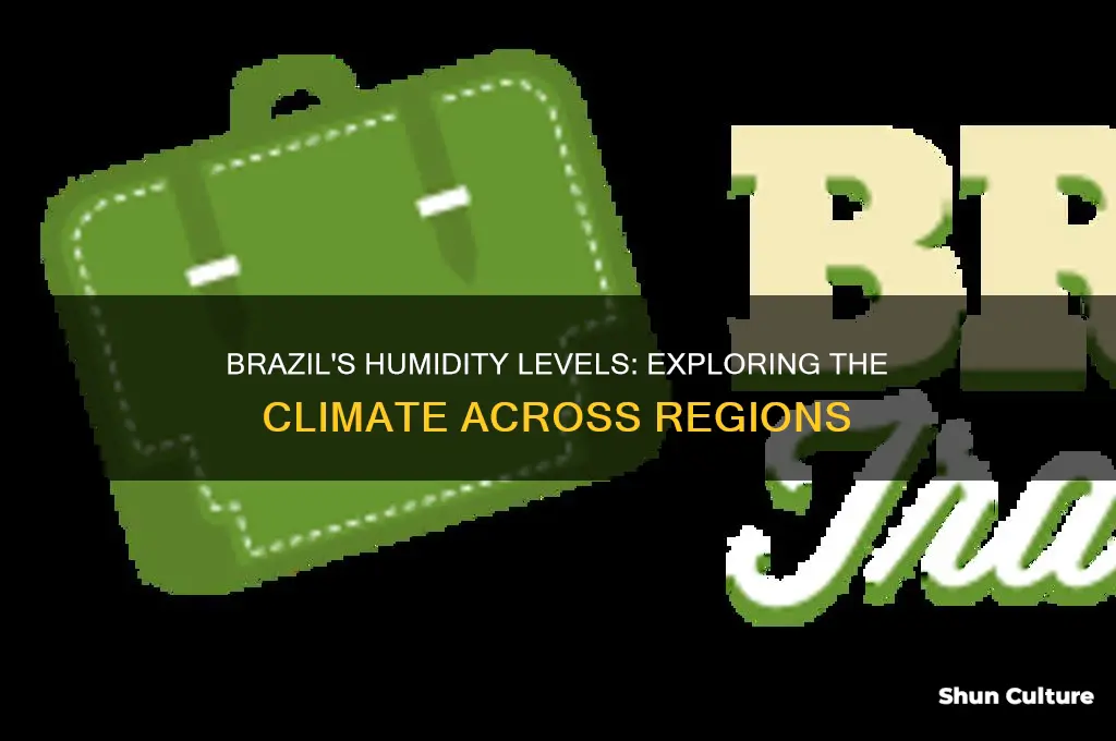 is it humid in brazil